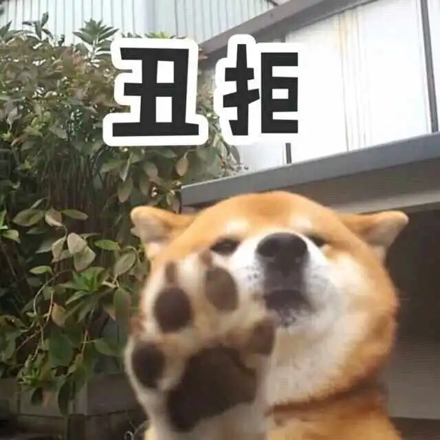 柴犬带字表情包狗粮