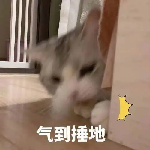  有没有特别可爱而且沙雕的表情包图片视频什么的阿