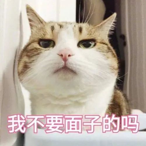  猫呕吐的时候,会把屎吐出来吗