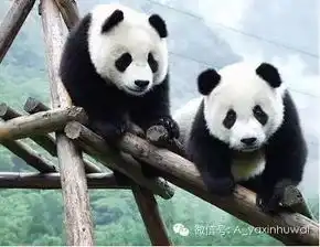  中国最美的10大自然遗产有你的家乡吗