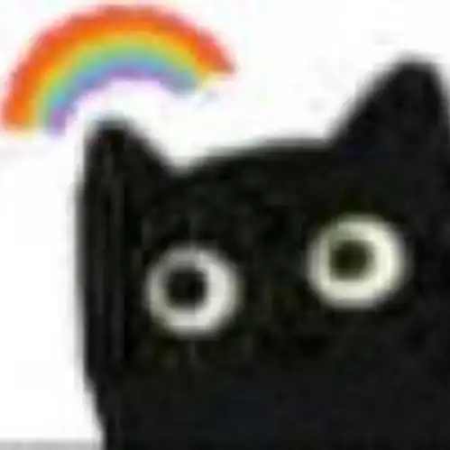 算我求你的表情包猫黑猫