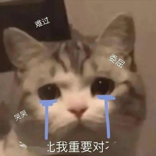  今日表情推荐,127