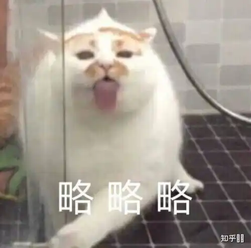 算我求你的表情包猫正经