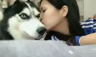 突然惊慌表情包主人