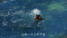  天天上热搜,这烂剧不心虚吗
