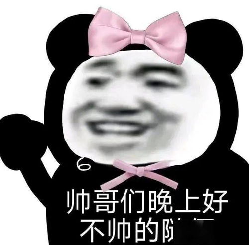  熊猫头表情包i谈什么恋爱是钱多没地方花吗
