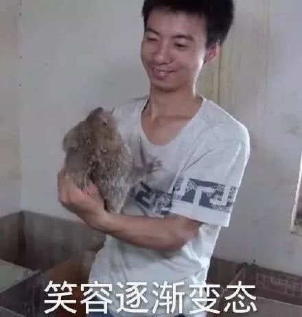  当对方认出你这套超神卡组,5s内立刻投降