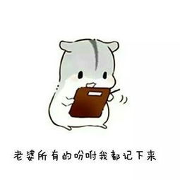  微信表情包以后就这样跟老婆认错,妥妥的