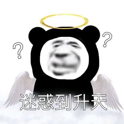  们会愿意跟掰了的好朋友经常在一个地方碰面吗