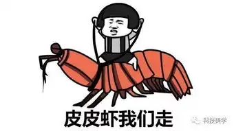  2017年十大网络用语出炉,来收一波表情包吧搜狐科技搜狐网