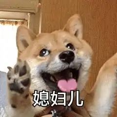  适合夫妻的表情包没人疼没人爱我是地里小白菜