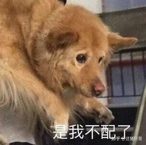  怎么样可以把自己女朋友撩的欲罢不能