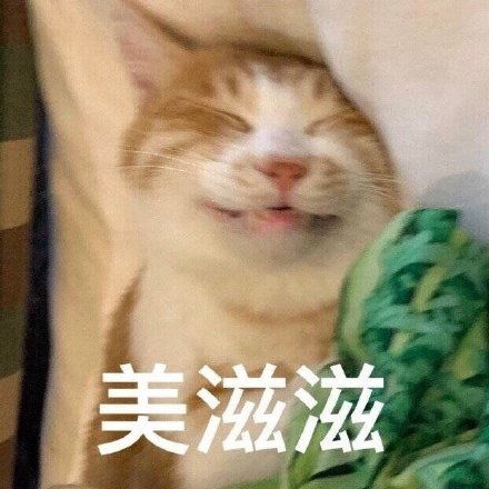  冲鸭杰尼龟表情包杰尼龟冲鸭表情