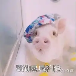  护肤党必入,这些医美项目可比你们的所有护肤品都强