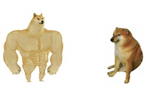 柴犬接住的表情包che