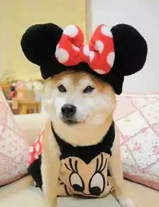  动摇哈士奇犬界地位的就是它,简直太魔性了