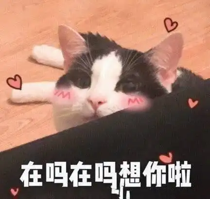  在吗表情包合集