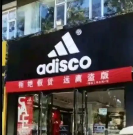  gif搞笑趣图猪不仅拱白菜,凡是好看的好玩的都拱