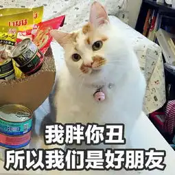  日常吸猫净化灵魂