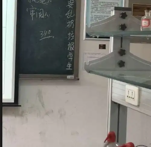  妈妈白菜有没有拱着不知道,反正20多年的猪肯定丢了