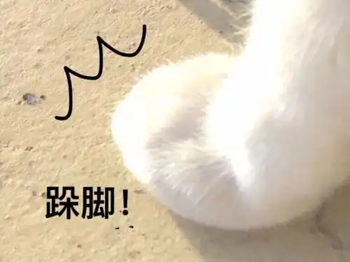  你和你男朋友因为什么奇怪的理由吵过架