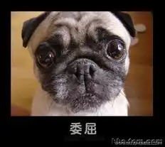  甘肃高校网
