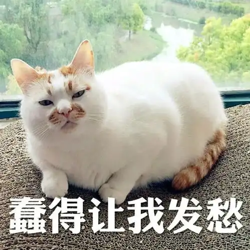  2017年最热表情包盘点,现在保存还来得及