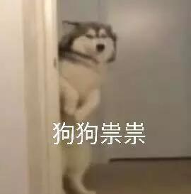  这是一篇有味道的文章还没吃饭的赶紧看看,可以省掉一顿饭呢