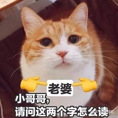  猫会因为知道自己很萌而卖萌吗
