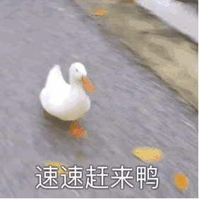  开学季岳阳交警为你的新学期保驾护航
