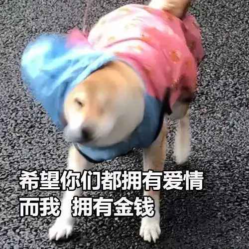  有没有适合七夕但单身发的文案