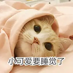  我只系一只弱小的兔几系列图片微信敲可爱的猫咪表情包下载乐游网游戏下载