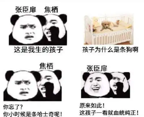  30小说纯爱推荐沙雕文迪奥先生,年轻人,你对力量一无所知