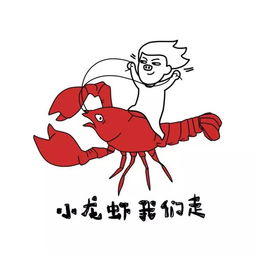  全国包包包包包包包包包邮啦