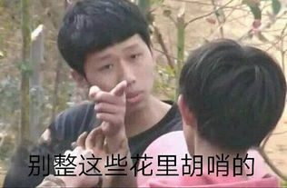  表情包生意指北