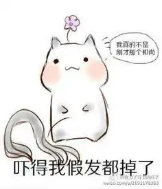  基三,仓鼠表情,万花
