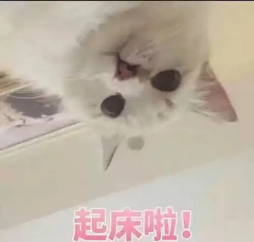 动漫表情包可爱经济学原理