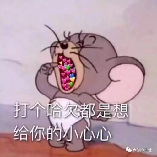  什么最得中妇心薅羊毛,薅羊毛,薅羊毛