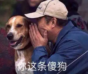 给男人当狗表情包