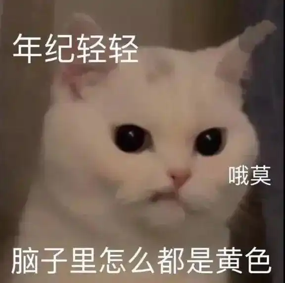  表情包,你如星河如朝露