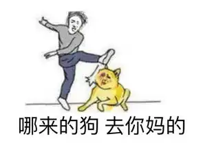  2017斗图表情包,没有新图就不要发了