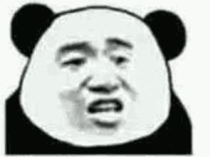 表情包你好管用