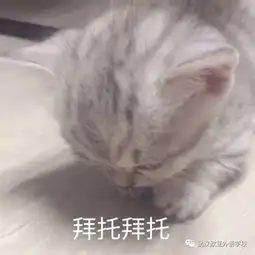  欢欢喜喜闹元宵元宵不放假,欧亚外语来陪你