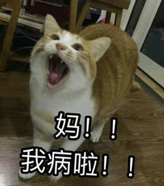  妈妈,我爱你