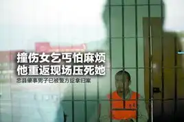  重庆药家鑫碾死女乞丐涉故意杀人罪被批捕