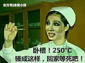 该火箭搬起石头砸自己脚自作自受 该火箭搬起石头砸自己脚自作自受