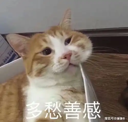  热门表情包图片让你皮,我就看戏,你很牛嘛