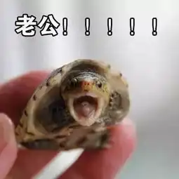  搜狐