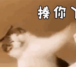 一把年纪可爱表情包沙币