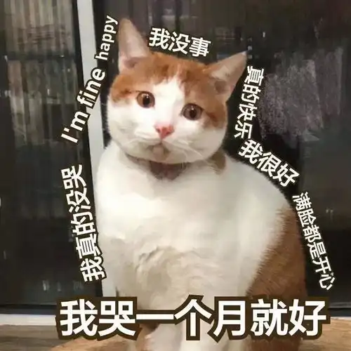  大涨大涨终于看到反弹了